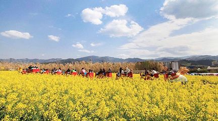 2019年休闲农业与乡村旅游业的推进策略与发展路径