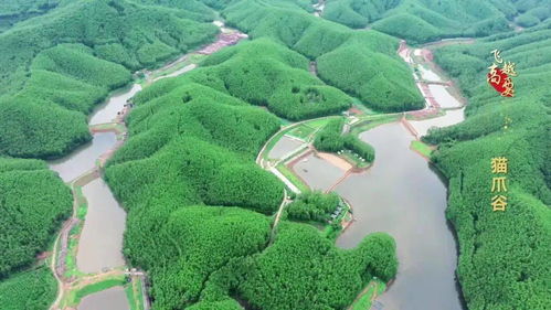 2020年度省级休闲农业与乡村旅游示范镇示范点公示 高要两处上榜，助推农业旅游开发