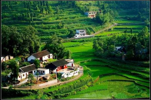 四个适合男人的偏门小本创业项目 农业旅游开发的机遇