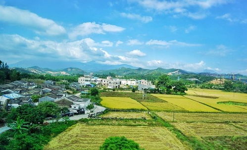 乡村旅游开发中的市场区位选择 策略与实践