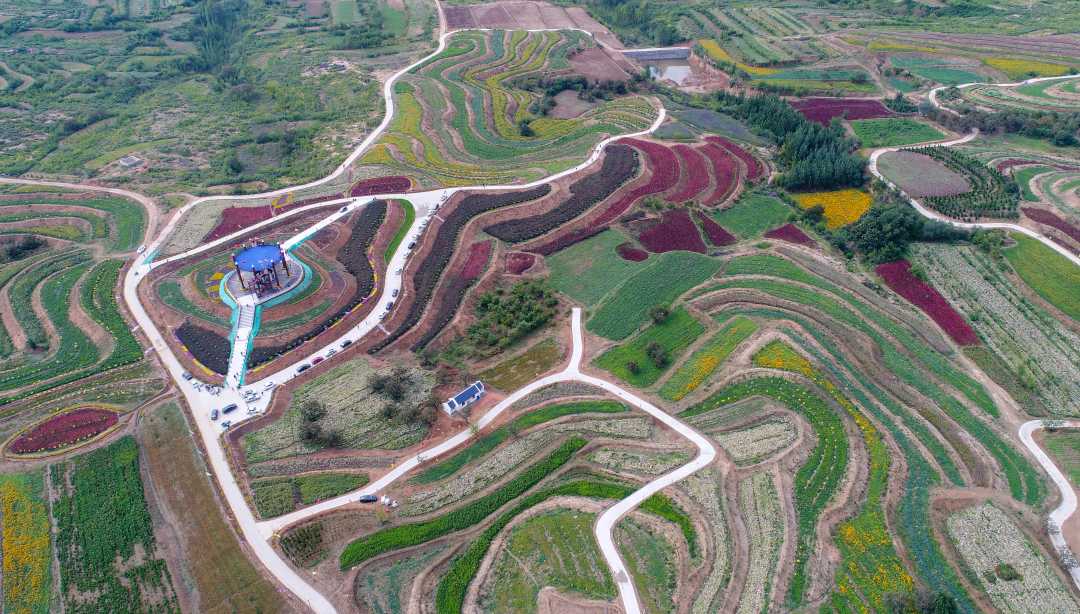 第六届京津冀中药材产业发展大会暨扁鹊文化节在河北内丘启幕，助推农业旅游深度融合