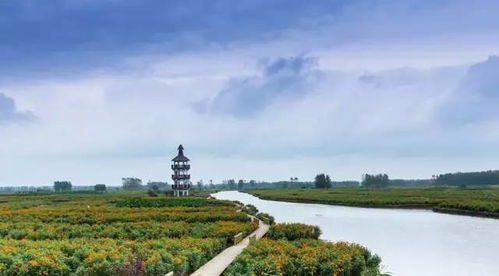 牛兴化入围全国休闲农业和乡村旅游综合发展实力10强县 农业旅游开发的典范