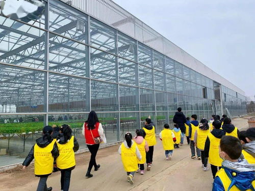 公益小天使 认知的旅行，乐享农业科技魅力的农业旅游开发