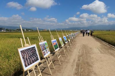 丰收云南·畅游保山——2023年中国农民丰收节系列活动暨农业旅游开发新篇章