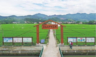 罗定泗纶镇 农业旅游开发助推全省休闲农业与乡村旅游示范镇建设