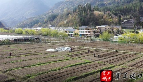 北屏 打造山地特色农业园区，以农旅融合助推乡村振兴