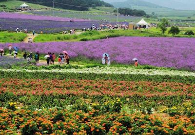 探索休闲农业多元发展路径与科学规划之道
