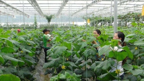 爱旅游的小伙伴注意了 保定发布10条休闲农业精品线路