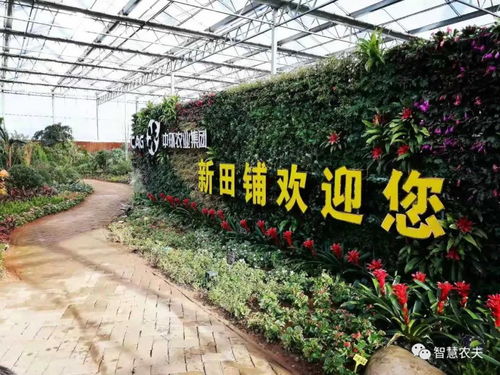 浙江新田铺智慧农业蔬果工厂 正式投产运行