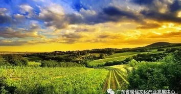 文化 农业 旅游 一场农业文旅小镇大爆炸