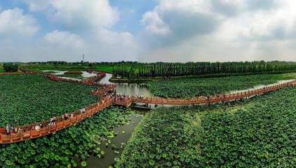 郓城将建一批湿地公园、景点!