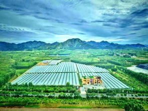 免费门票任你领，天葡庄园采葡萄 农业旅游开发的新篇章