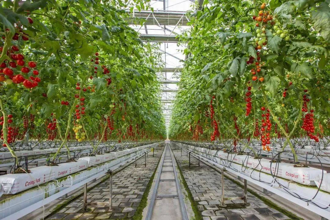 湘潭农博园游玩全攻略 探秘“全国休闲农业与乡村旅游示范点”