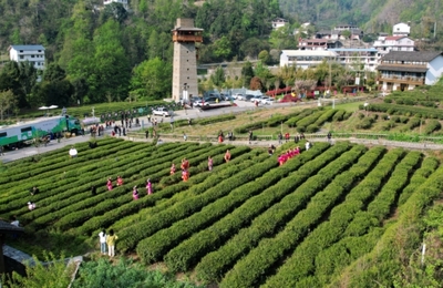 西八千乡农业旅游开发 开启乡村振兴的崭新篇章