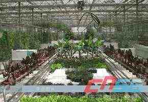 凉水生态农业与旅游开发 构建绿色经济新典范