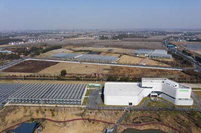 浙江平湖 现代“植物工厂”春意浓，科技农业赋能乡村旅游新篇章