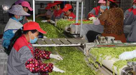 海南产业扶贫聚民心，农旅融合绘就乡村振兴新画卷