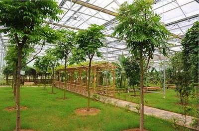 斥资94亿，周通煤业的绿色转型 一座生态庄园的农业旅游新图景